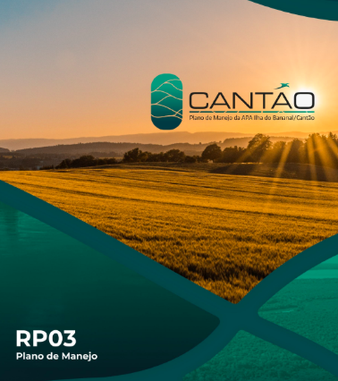 Elaboração ou revisão/formatação de relatórios técnicos